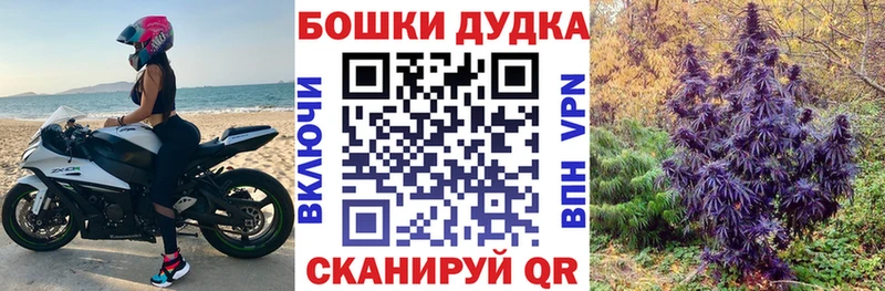 кракен Кузнецк Бошки марихуана индика закладка